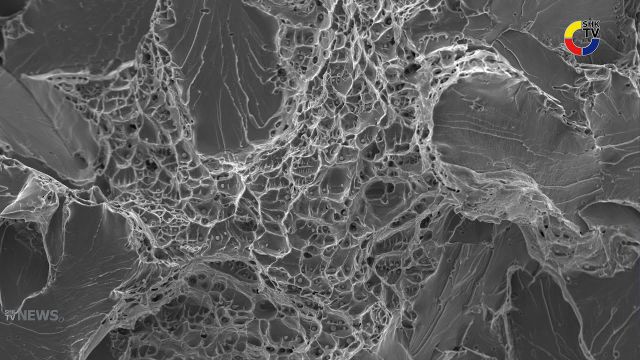 Embedded thumbnail for IFS Statistiken zu Leitungswasserschäden