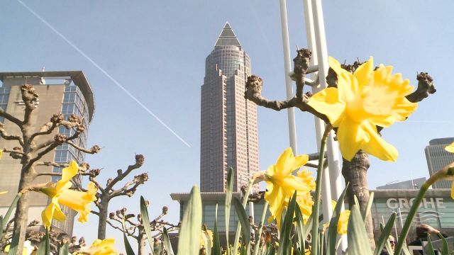 Embedded thumbnail for Trends im Wärmemarkt